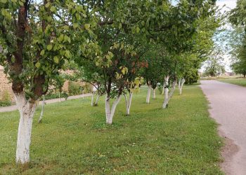 Ulica za primer - Malo selo velikog srca - Debeljača