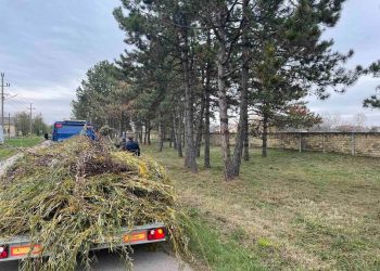Velika radna akcija čišćenja Debeljače - Malo selo velikog srca