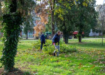 Velika radna akcija čišćenja Debeljače - Malo selo velikog srca