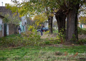 Velika radna akcija čišćenja Debeljače - Malo selo velikog srca