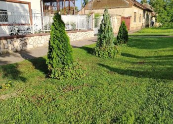 Ulica za primer - Malo selo velikog srca - Debeljača