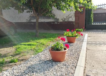 Ulica za primer - Malo selo velikog srca - Debeljača
