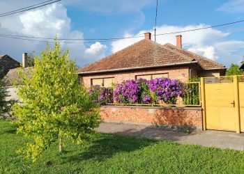 Ulica za primer - Malo selo velikog srca - Debeljača