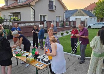 Nemet Petera - Debeljača - Ulica za primer 2024 (5)