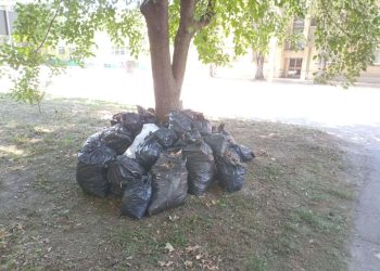 Radna akcija Debeljača
