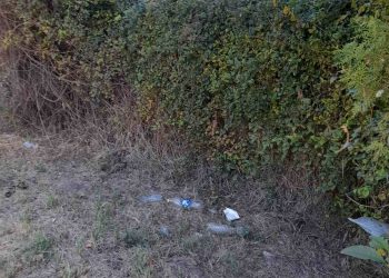Radna akcija Debeljača