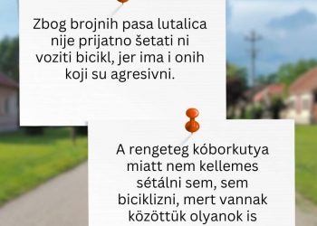 anketa Malo selo velikog srca - Debeljača