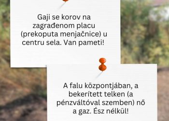 anketa Malo selo velikog srca - Debeljača